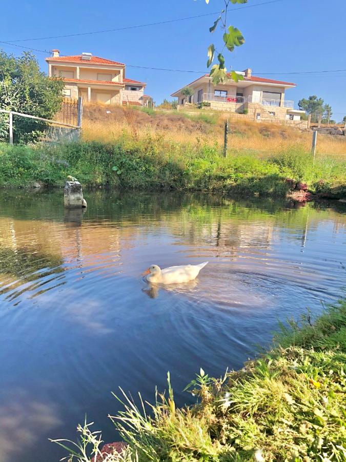 Вілла Casa Da Quinta Da Prelada Simao Partie Basse Селоріку-де-Башту Екстер'єр фото