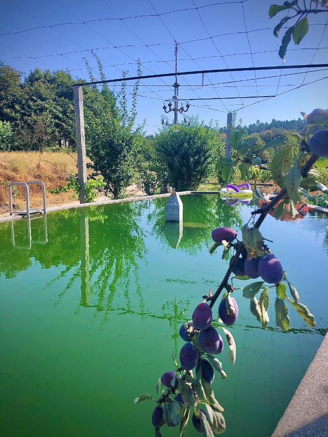 Вілла Casa Da Quinta Da Prelada Simao Partie Basse Селоріку-де-Башту Екстер'єр фото