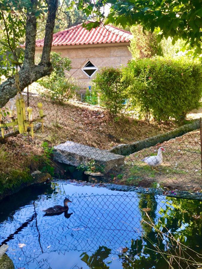 Вілла Casa Da Quinta Da Prelada Simao Partie Basse Селоріку-де-Башту Екстер'єр фото