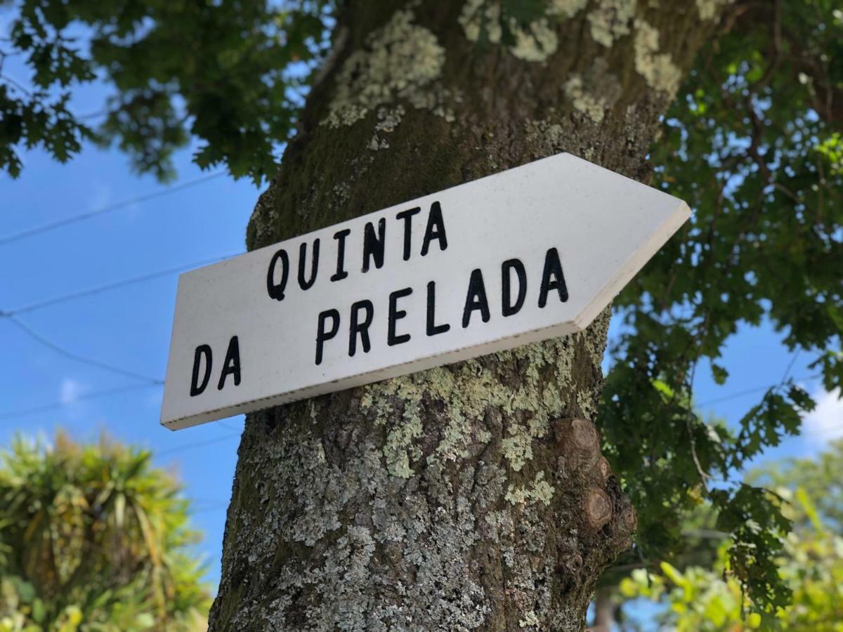 Вілла Casa Da Quinta Da Prelada Simao Partie Basse Селоріку-де-Башту Екстер'єр фото