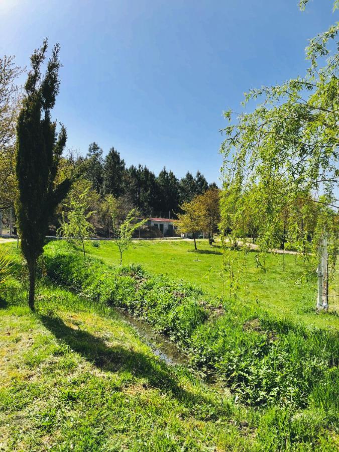 Вілла Casa Da Quinta Da Prelada Simao Partie Basse Селоріку-де-Башту Екстер'єр фото